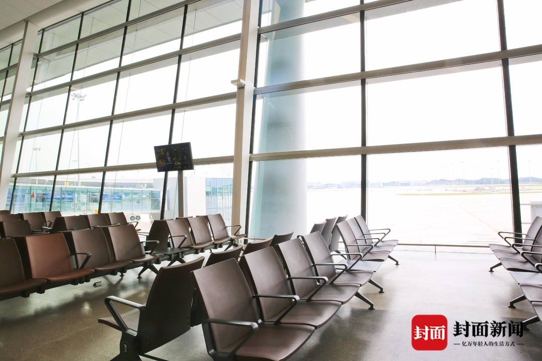 游客视角看神鸟｜大型绿色智慧“面子工程”用了特别材料的玻璃幕墙长这样