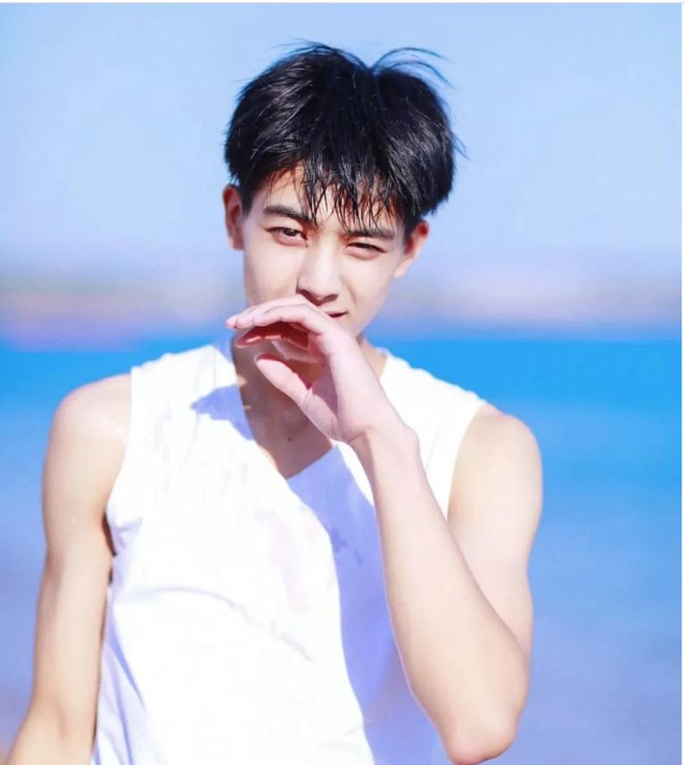 整容失败的男星们,娱乐圈整容艺人