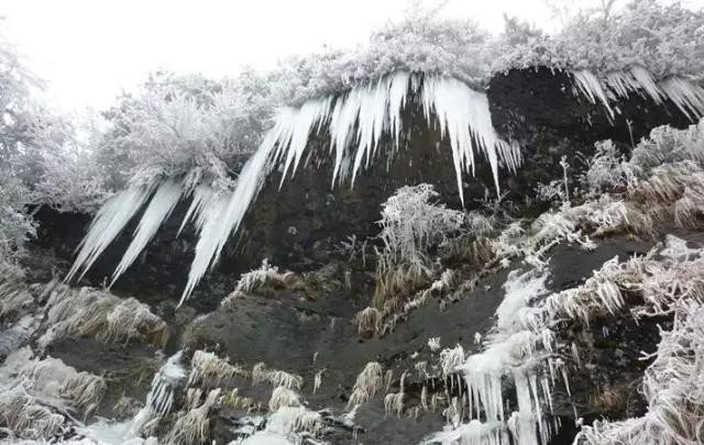 张家界旅游各种攻略大全,张家界最新实用旅行攻略图片高清