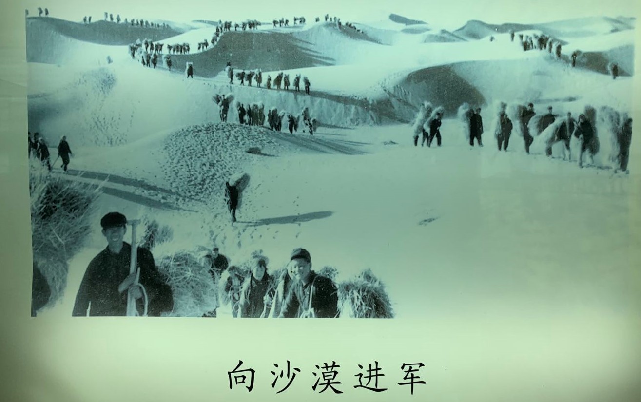 沙坡头沙漠区,沙坡头沙漠大不