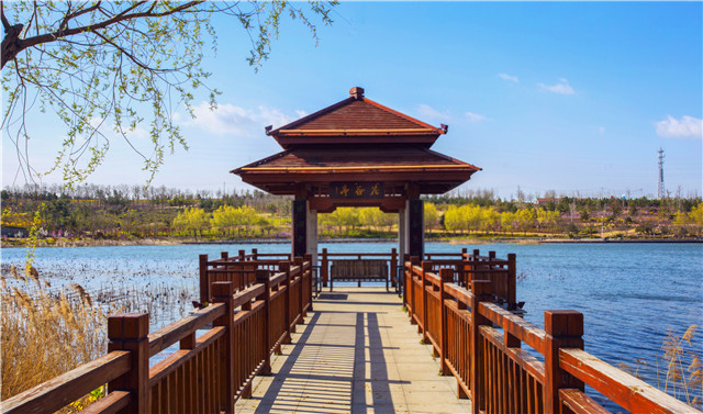 建设首善之区打造品质城区,提升城市品质打造城市建设新标杆