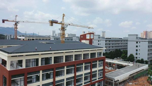 动图运动会,动图赛龙舟