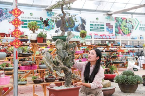 宿迁农业直播,江苏宿迁农业电商