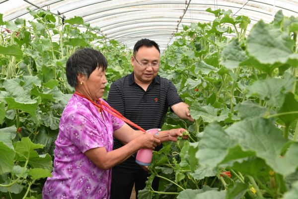 丹心系家园乡村瓜果甜——记商都县西井子镇大南坊村驻村第一书记李小飞