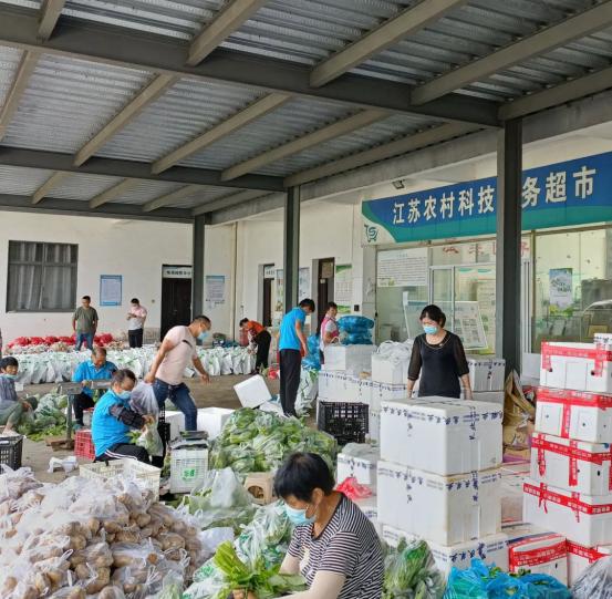 抗疫保供，江苏家庭农场在行动