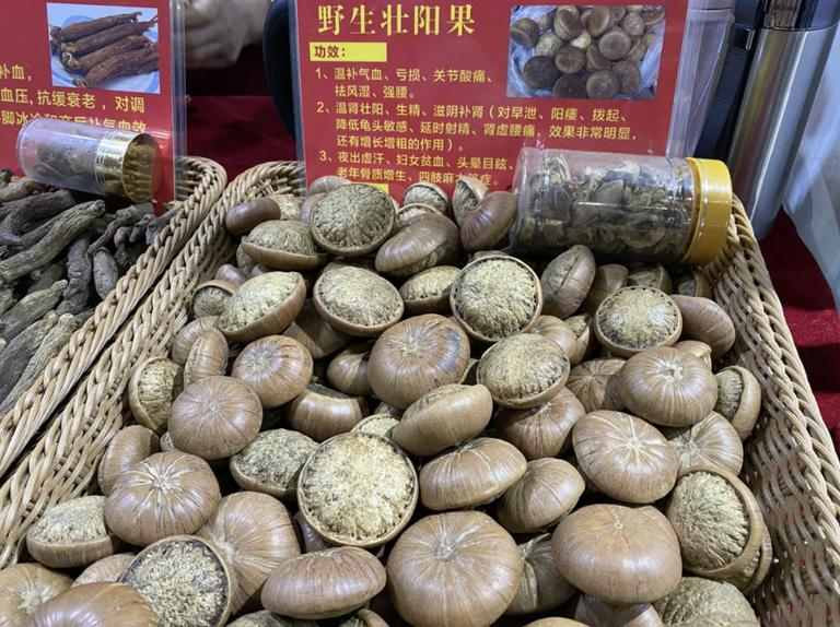 海狗丸为什么火了,海狗丸热搜