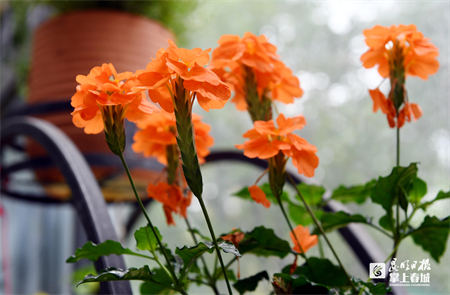 国庆亲子旅游景点推荐昆明,国庆旅游景点推荐昆明周边