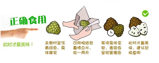 进口水果小百科系列,进口水果知识书