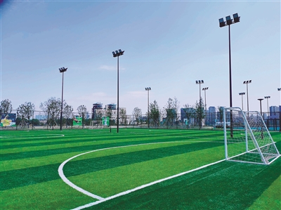 体育传递正能量,体育引领五育