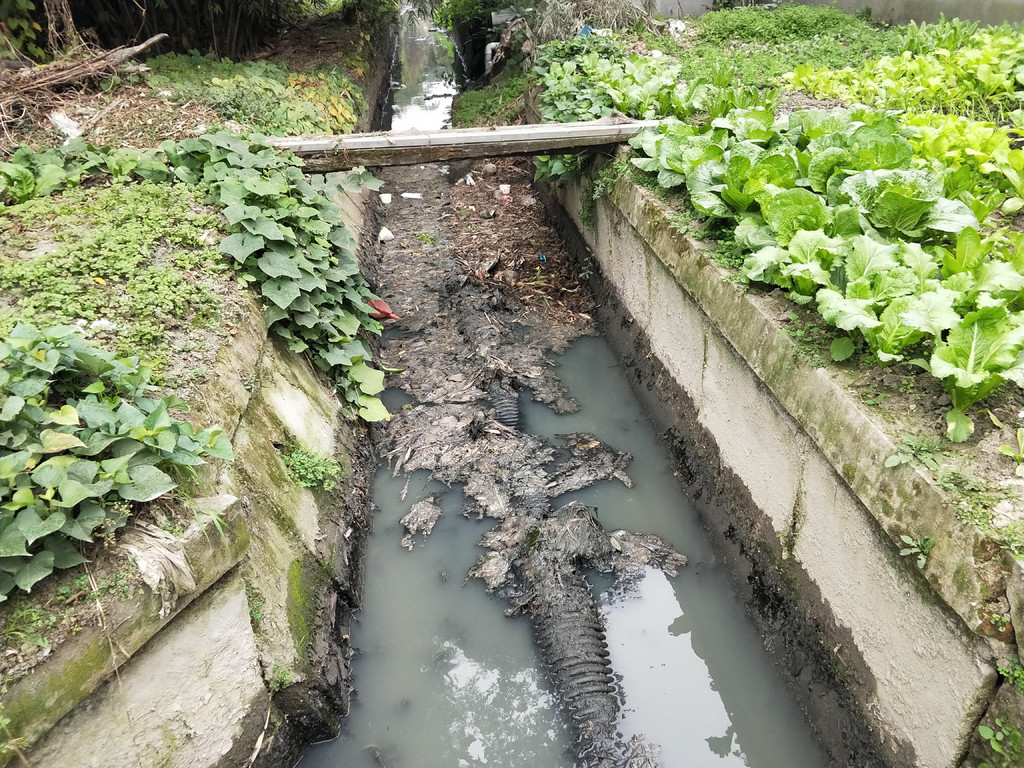 成都市生态环境督察问题反馈,成都督察