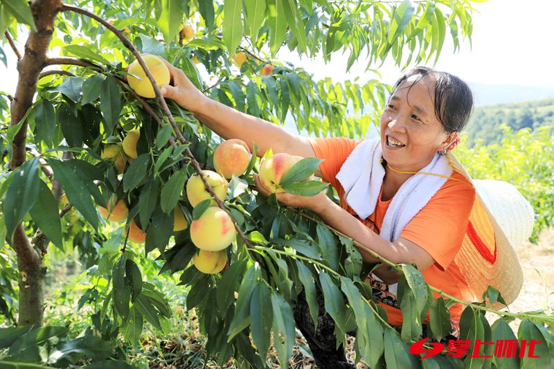 喜迎党代会龙里新变化,喜迎党代会城市发展日新月异视频