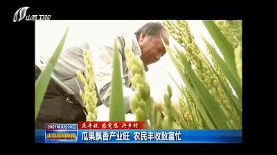 农民田间辛勤劳作喜迎首个丰收节,庆丰收让乡亲们的日子越过越红火