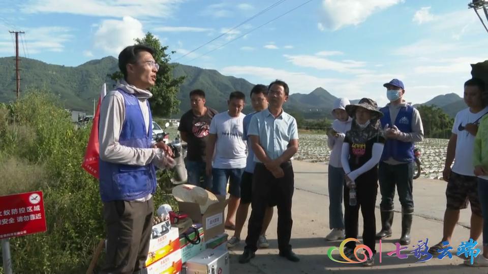 红火蚁防治方法主要有三大类,红火蚁防治方法大全视频