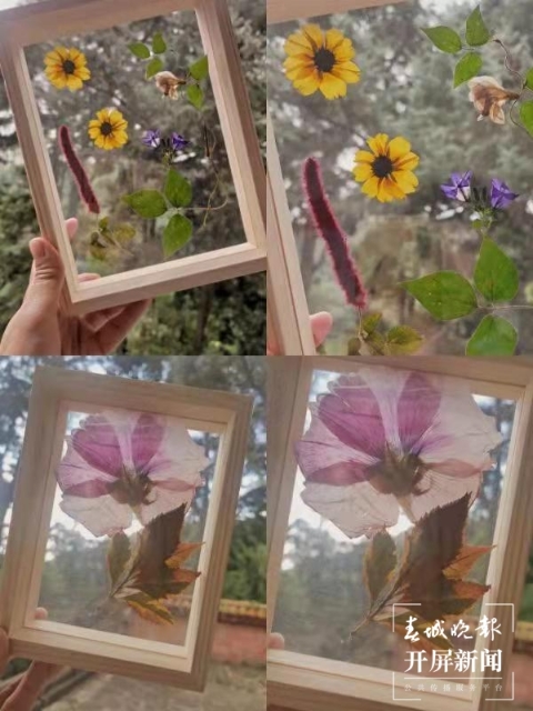 昆明国庆免费开放公园,国庆昆明这七大公园好看又好玩