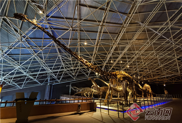 云南大理奇妙博物馆,云南生命博物馆