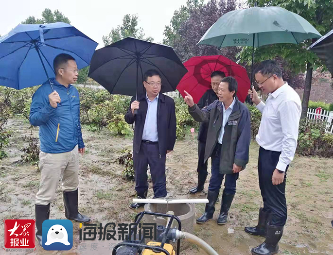 菏泽市参观苗木基地,牡丹种植基地灌溉