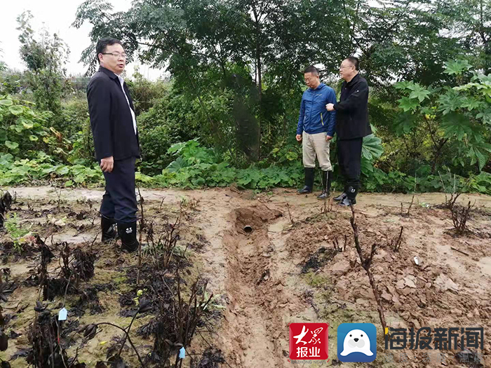 菏泽市参观苗木基地,牡丹种植基地灌溉