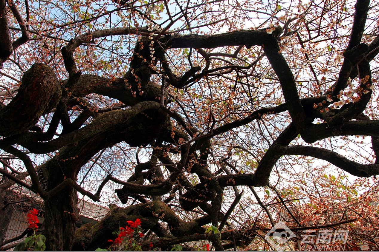 国庆去大理旅游玩攻略大全,国庆大理哪里玩最好推荐