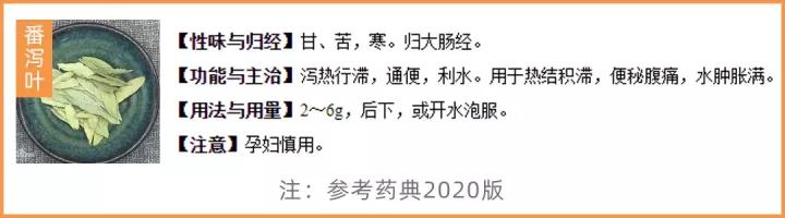 各种功效的酵素,酵素养生酵素