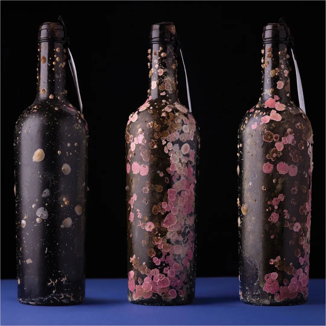 2022pentawards包装设计大赛,顶级包装设计大奖作品