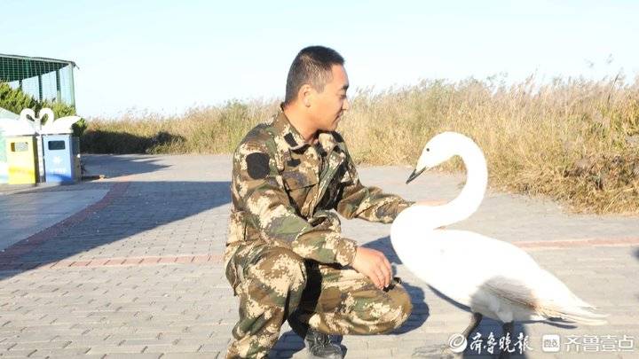 黄河谣之一：当一只天鹅成为“女儿”