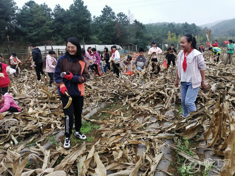 靖外明德小学创新模式,宣威市靖外明德小学教学质量
