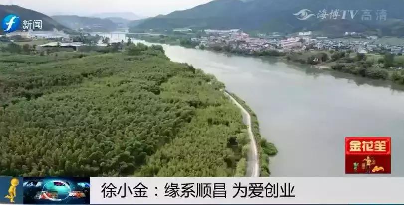 幸福的爱情模样,爱情幸福的模样1-40集免费观看