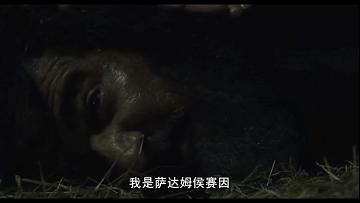 2003年萨达姆是怎么逃离巴格达的,萨达姆逃跑的时候都去了哪些地方