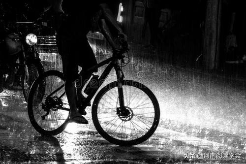 王金平最新作品欣赏,王金平作品大全