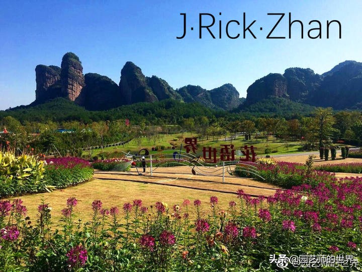 果岭草坪的种植养护方法及技巧,怎么种植一个可以躺的草坪