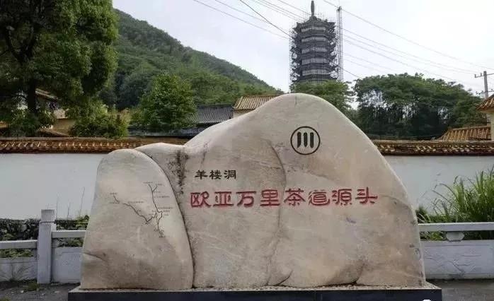 湖北名茶品种,待疫情结束我们去看春暖花开