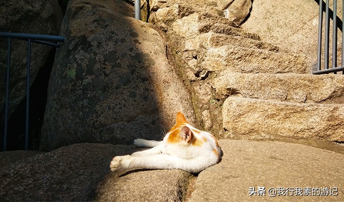 崂山最佳攻略,崂山详细讲解