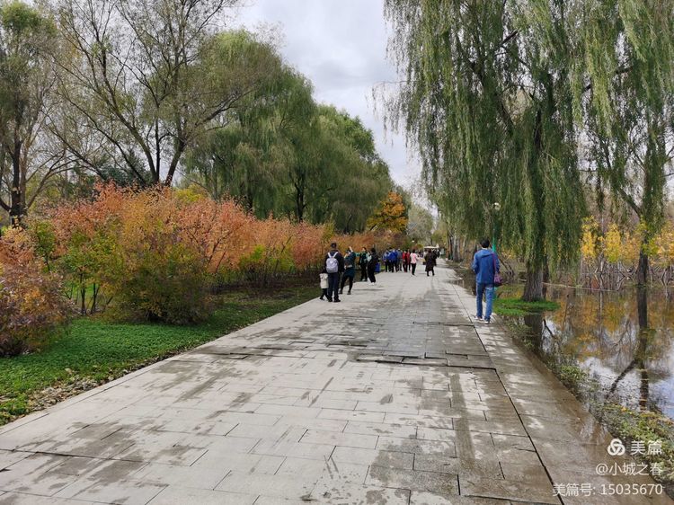 哈尔滨素描俱乐部,哈尔滨素描画室