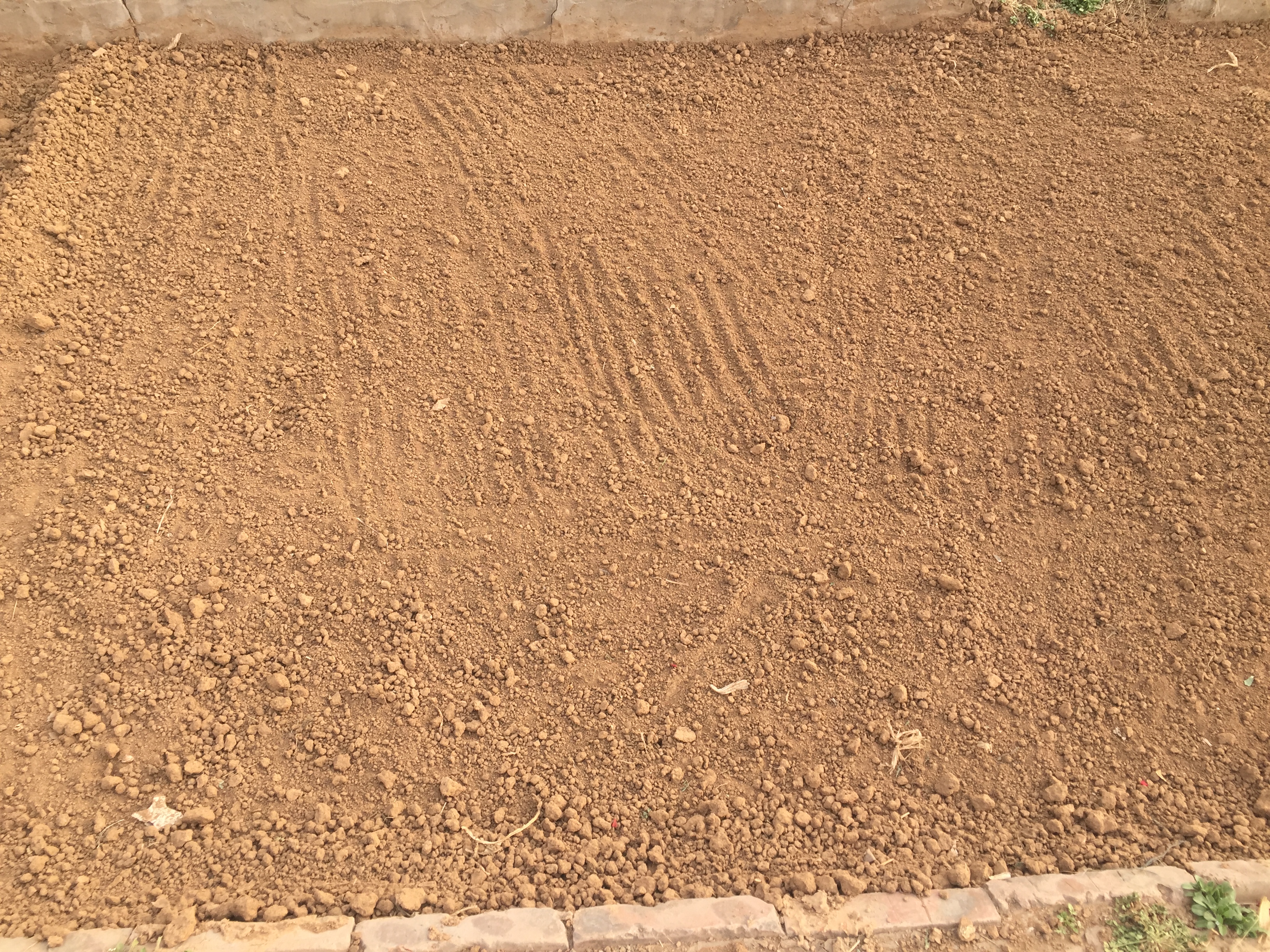 阳台种菜播种后出苗的日常管理,种菜秘诀什么时候种什么菜