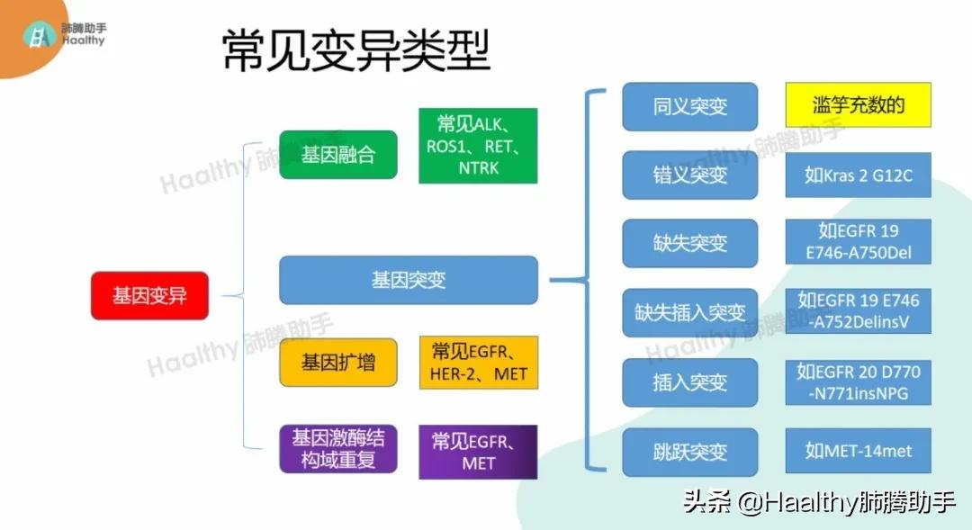 alk四代靶向药临床试验怎么申请,alk靶向药效果怎样