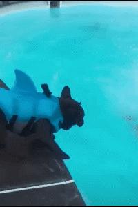 搞笑版的小萝莉,搞笑gif段子妹子你太皮了