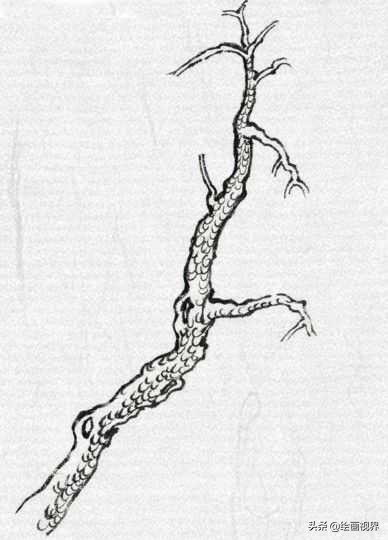 中国画零基础入门技巧,中国画传统画树技法