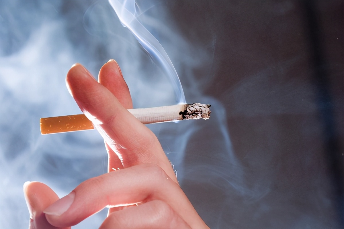 饲养柯基犬有哪些需要注意的地方,柯基犬为什么不能饲养