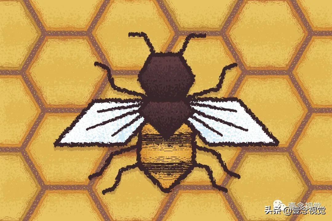 ai笔刷教程完整版,ai笔刷免费版