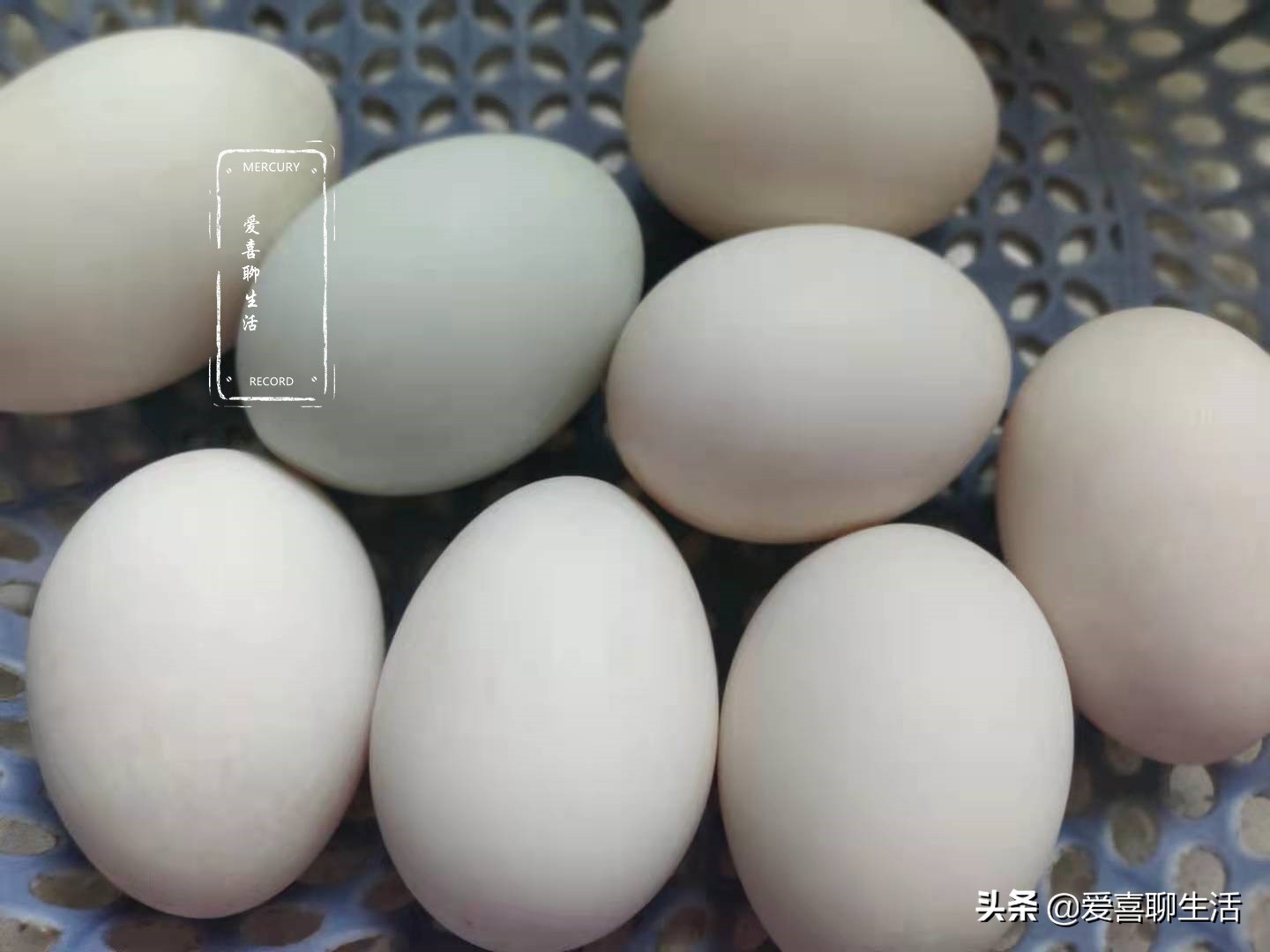 老祖宗的腌制咸鸭蛋的方法,50年腌制咸鸭蛋老方子