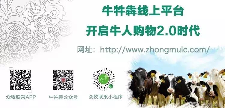 牛群体细胞控制标准化操作流程管理,SOP