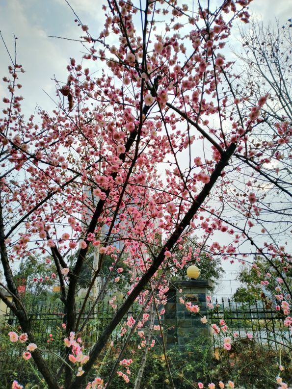 国考地理常识积累,古代文化常识之地理常识