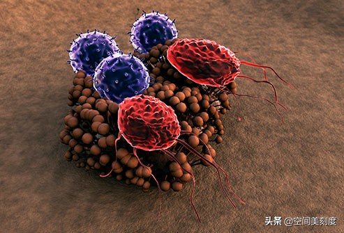 墙上顽固的霉菌怎么处理,怎么清除霉菌生活小妙招