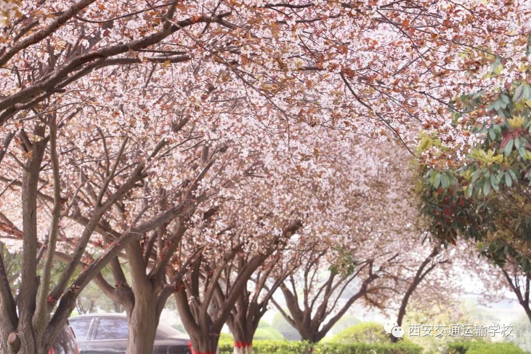 又一铁饭碗将全国招聘,通过社招进铁路待遇怎么样