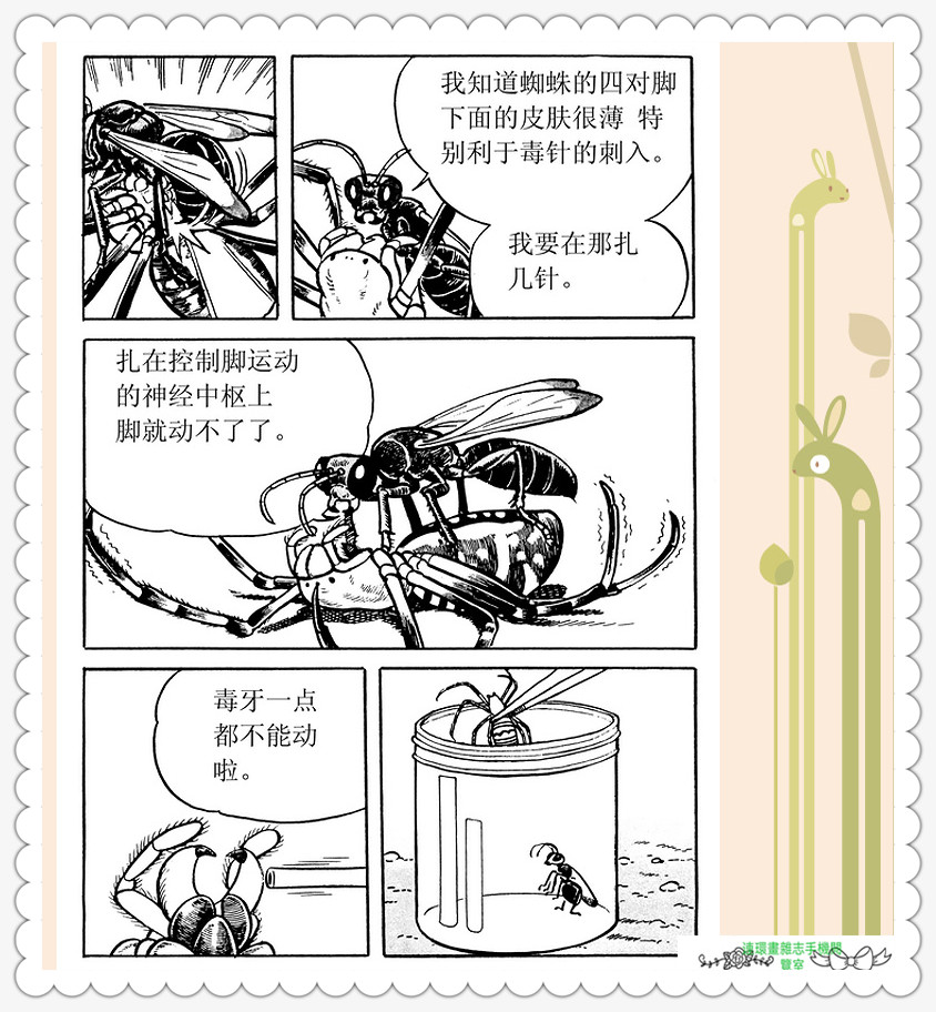 昆虫记法布尔动画片,昆虫记法布尔全套