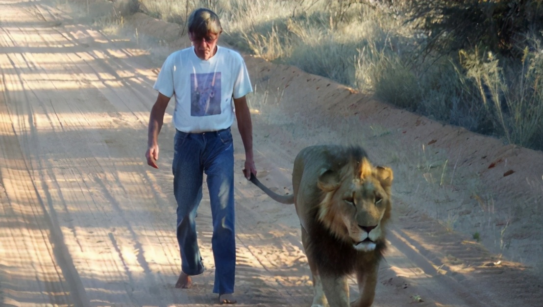 去非洲草原，要怎么做，才能不被狮子吃掉？