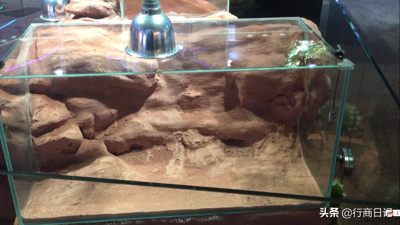 转一转：西单华威商场的潮铺街和约饭街，青春的味道