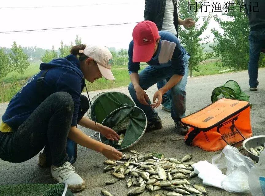 钓鱼记录2019,最新的钓鱼日记