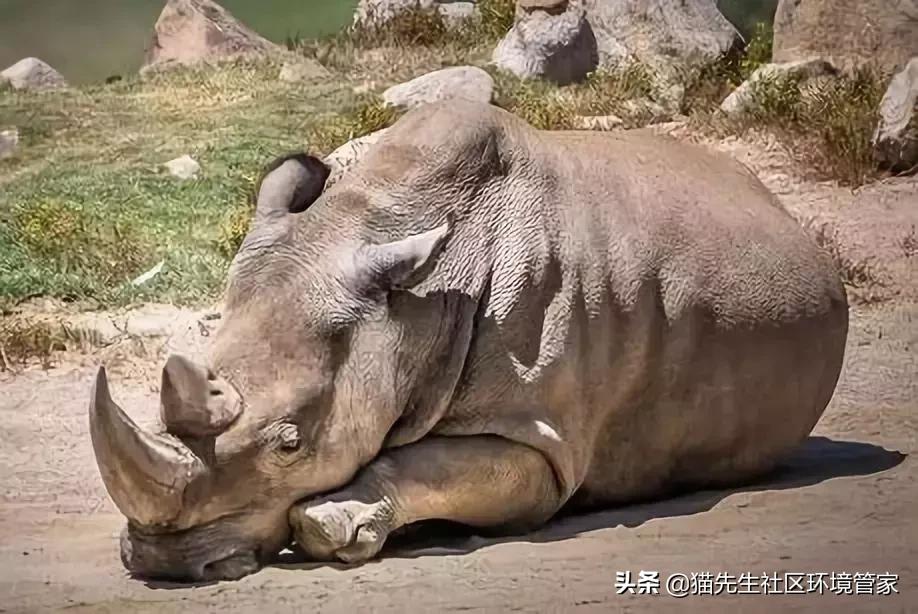 疯狂的裸体彩绘|这世间事十有八九都与垃圾分类有关