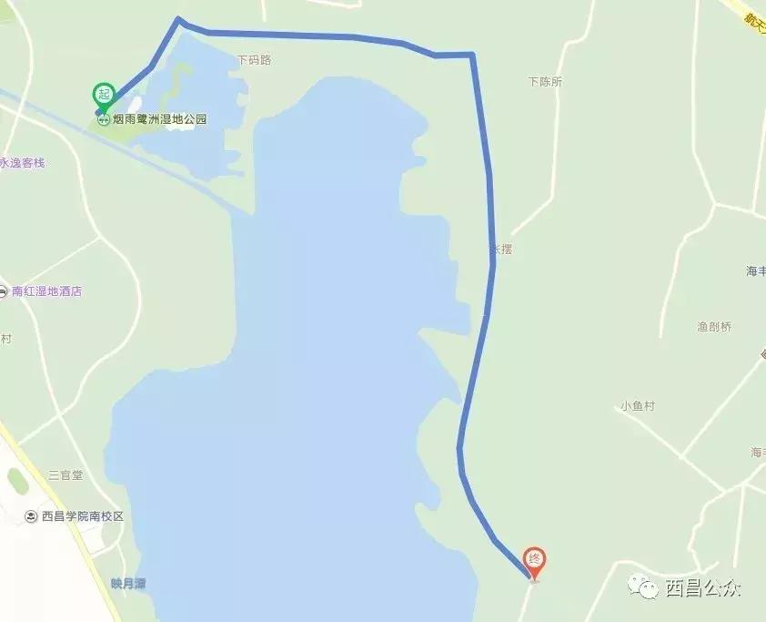 约跑邛海,2022约跑邛海之荧光夜跑